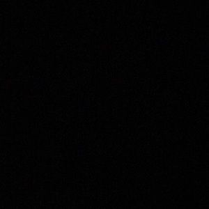 Meet your Posher, Selena